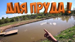 КРАСОТА В ПРУД ! КУПИЛ КРАСИВЫЕ НИМФЕИ  ! ТЕСТИРУЮ КАМЕРУ !