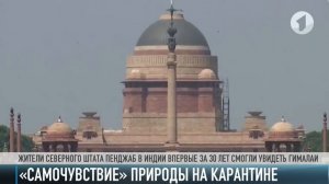 «Самочувствие» природы на карантине