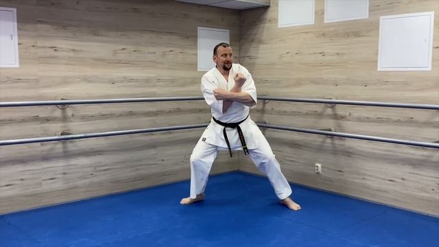 Ката каратэ киокушинкай + идо гейко (10-9 кю) смотреть онлайн