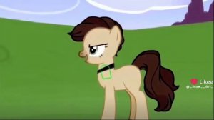 рейнбоу вика