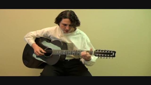 Rainsong Twelve String Guitar