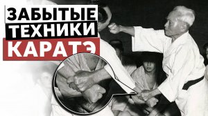 Забытая техника КАРАТЭ. Захваты и хикитэ