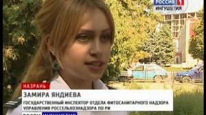 Борьба с амброзией