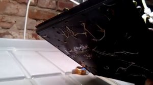 Ёмкости для выращивания микрозелени.