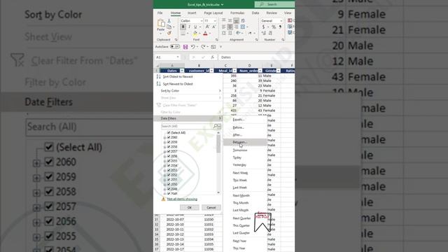 5 Ways to Quickly Filter Data in Microsoft Excel