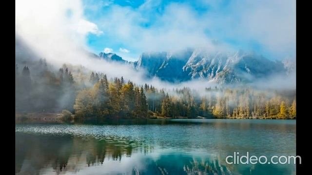 Артём Гельман - Туман