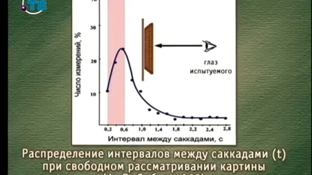 Видеоэкология. Урок 1. Механизм микродвижений глаз смотреть онлайн