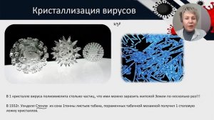 Вирусы.  Строение.  Размножение.