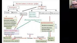 Современные технологии содержания и кормления 1 03 2021 Буряков