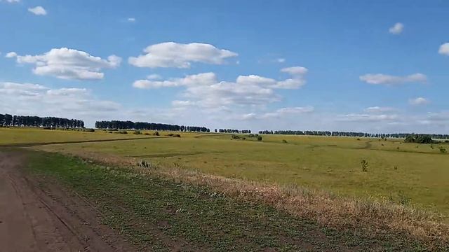 Пензенская область деревня Березовка