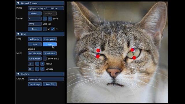 DragGAN: ¡Manipula y transforma tus fotos con solo un clic! смотреть онлайн