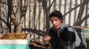 Вентиляция улья во время зимовки в омшанике