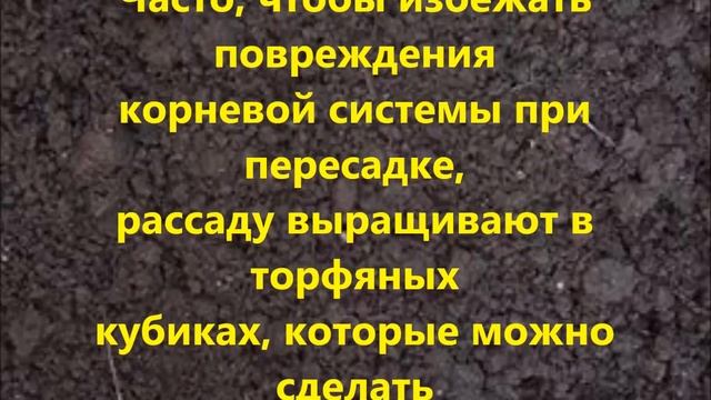 Подготовка почвы для рассады. смотреть онлайн