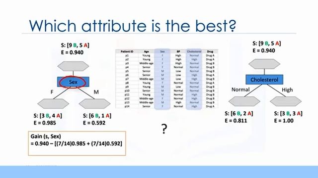 Machine Learning Complete Elite Course (projects with python included) | Beginner to Expert | CF IB
