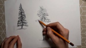 Деревья простым карандашом. Как просто нарисовать  зимние деревья карандашом
