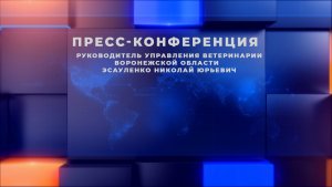 Пресс-конференция, руководителя управления ветеринарии Воронежской области Н.Ю. Эсауленко