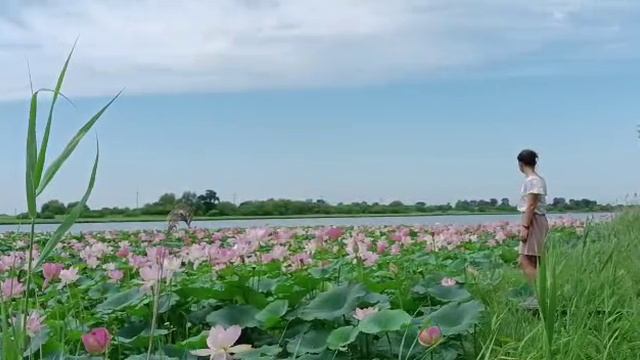 Конкурс «Моё Приамурье» Карина Сафина, 
с. Новопетровка