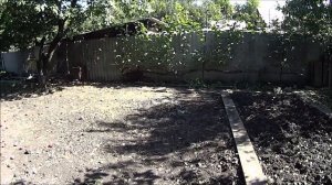 ОСЕННИЕ ЗАБОТЫ В ОГОРОДЕ .