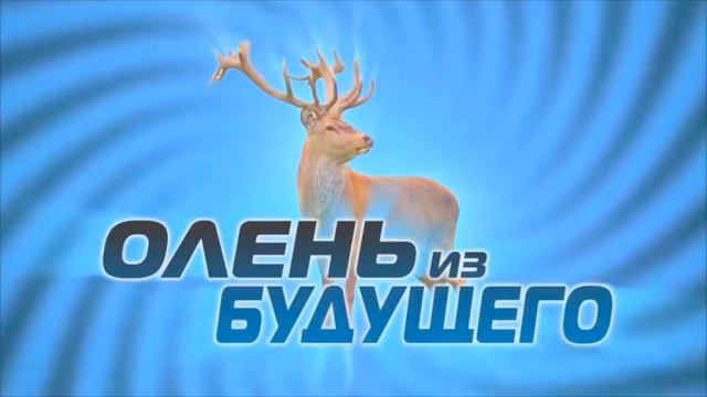 ВСЕ ОЛЕНИ ЮДЖИНА;Олень из будущего;Олень из ужасов;Олень из соседней комнаты смотреть онлайн
