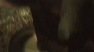 Чем кормить корову. Рецепт комбикорма для коровы. Просто и доступно.