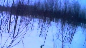 Супер проходимый мотобуксировщик толкач с реверсом по лесу