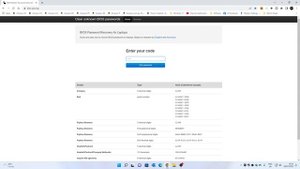 Reset Or Clear BIOS Administrator Or Power On Password HP Laptop 245 G8