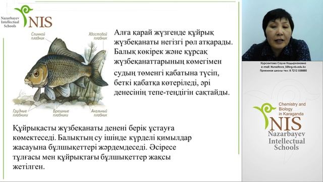 Биология. Учитель: Нурсеитова С.К. смотреть онлайн