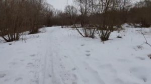САМСУНГ А 51 ПОЛНЫЙ ОБЗОР