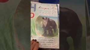 Проект Алфавит , 1 класс , Азбука с животнымии