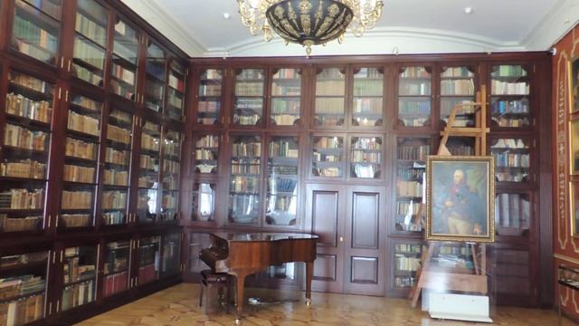 Большие Вязёмы. Дворец князей Голицыных. Нижняя библиотека