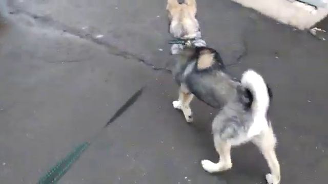 Юта#Настя #дождик# смотреть онлайн