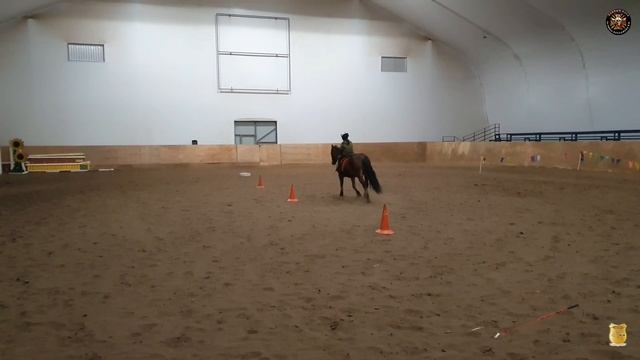 Влог тренировочные занятия по конкуру и ПХД в КК им генерала Бакланова Я.П. смотреть онлайн