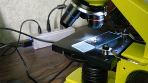 Глаз мухи через микроскоп Levenhuk Rainbow 2L PLUS Lime Лайм