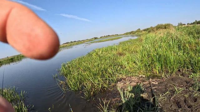 Видеоминутка. Виноградовская пойма Москвареки. Клиновое озеро.(сорри за ошибку на заставке:))