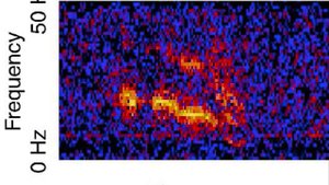 Unidentified Deep Sea Sounds - Julia (1X)