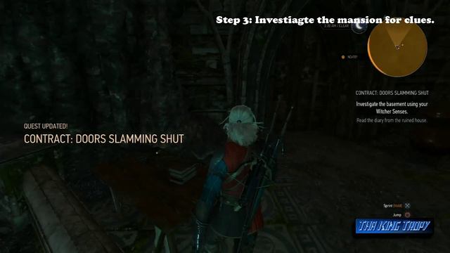 The Witcher 3: Wild Hunt | Ashes to Ashes Trophy / Achievement Guide смотреть онлайн