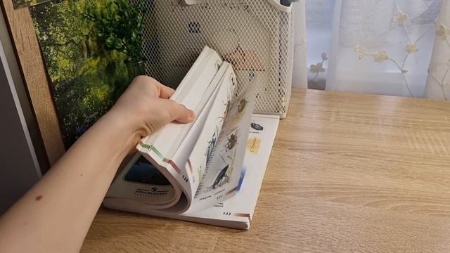 Оформление травника\\ Сон-трава\\♡ смотреть онлайн