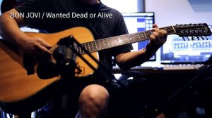 Morris B-50 / 12Strings Guitar