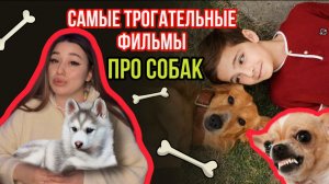 САМЫЕ ДУШЕВНЫЕ ФИЛЬМЫ ПРО - СОБАК! ?