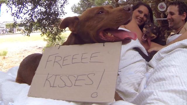 SSSingle Bed. Janet Craig Photographer смотреть онлайн