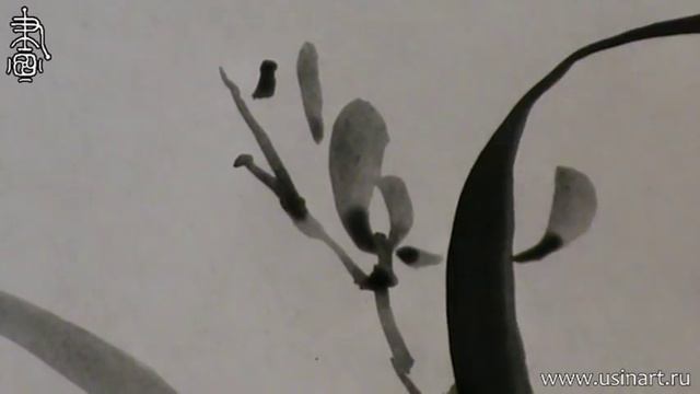 Уроки по китайской живописи дикая орхидеи 兰花 Урок 9 "Елена Касьяненко рисует Орхидею " смотреть онлайн