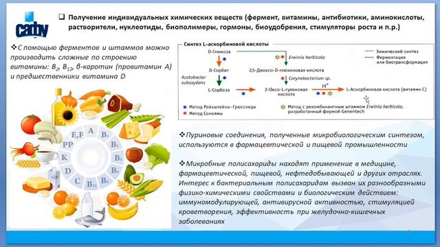 Лекция «Бактерии и археи»