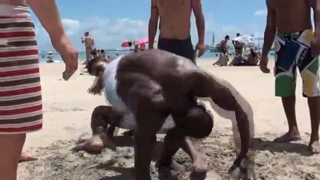 капоэйра capoeira смотреть онлайн