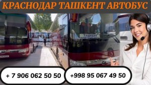 Краснодар Ташкент автобус 2023 Ростов Ташкент автобус Krasnodar Tashkent avtobus