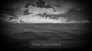 ИСТОРИЯ СПОДВИЖНИКА ДЖУЛЕЙБИБА | ШОИП | THE HISTORY OF THE JULEYBIB MEMBER