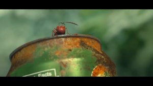 Minuscule Valley of the Lost Ants - Official Trailer