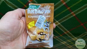 Я вырастил арбуз дома. Как вырастить арбуз.