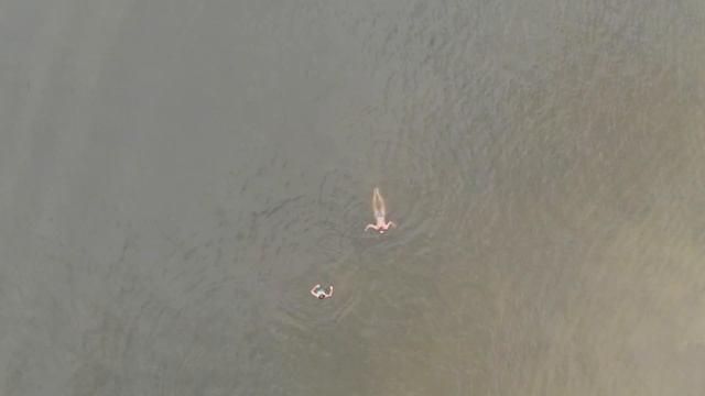 река Дон, Ростовская область, отдых 2019 г смотреть онлайн