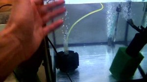 Правильная подготовка нерестовой воды