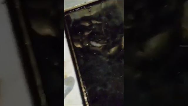 Запуск Карпа смотреть онлайн